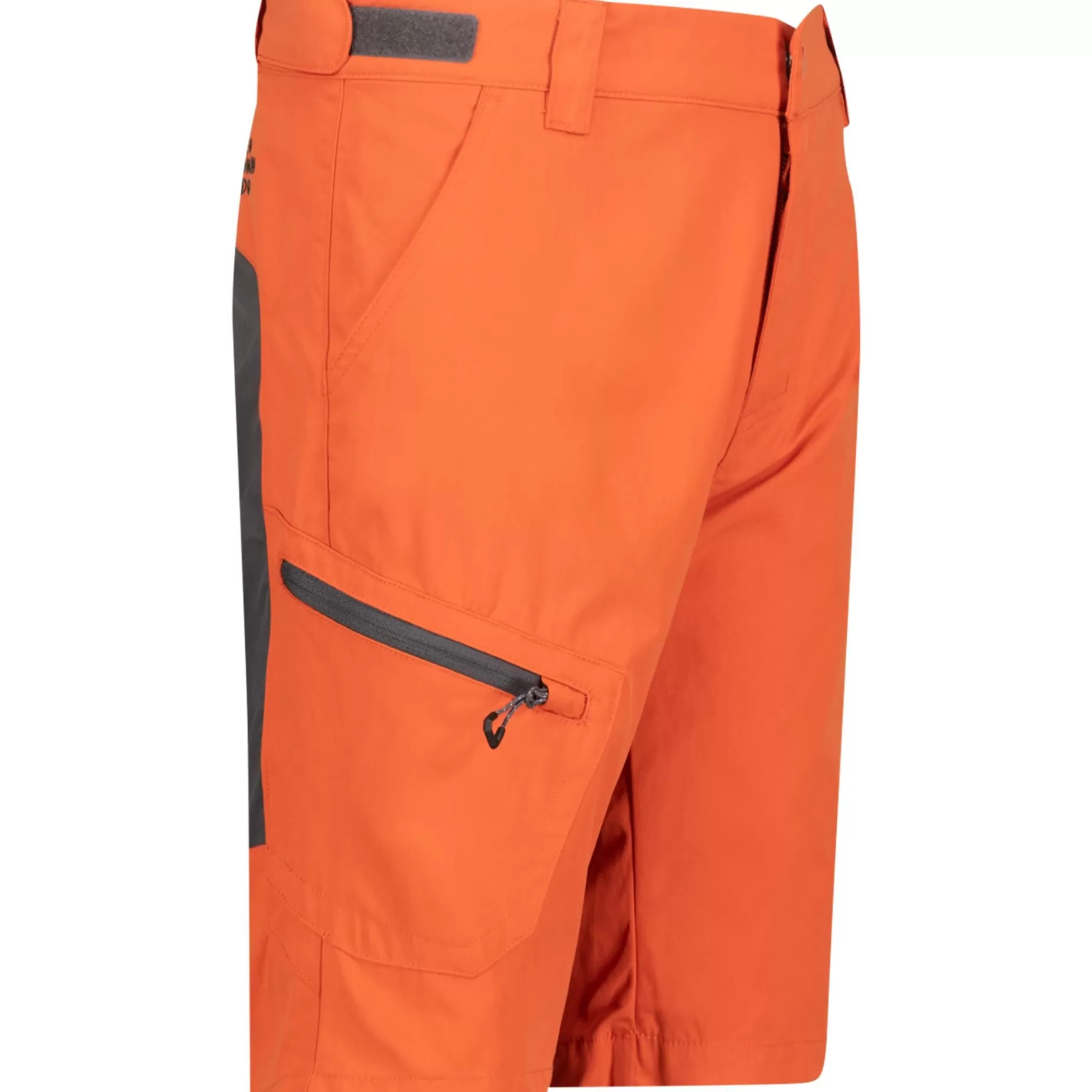 Neomondo Shorts<Blekinge Softshell Shorts, Softshellshorts Junior