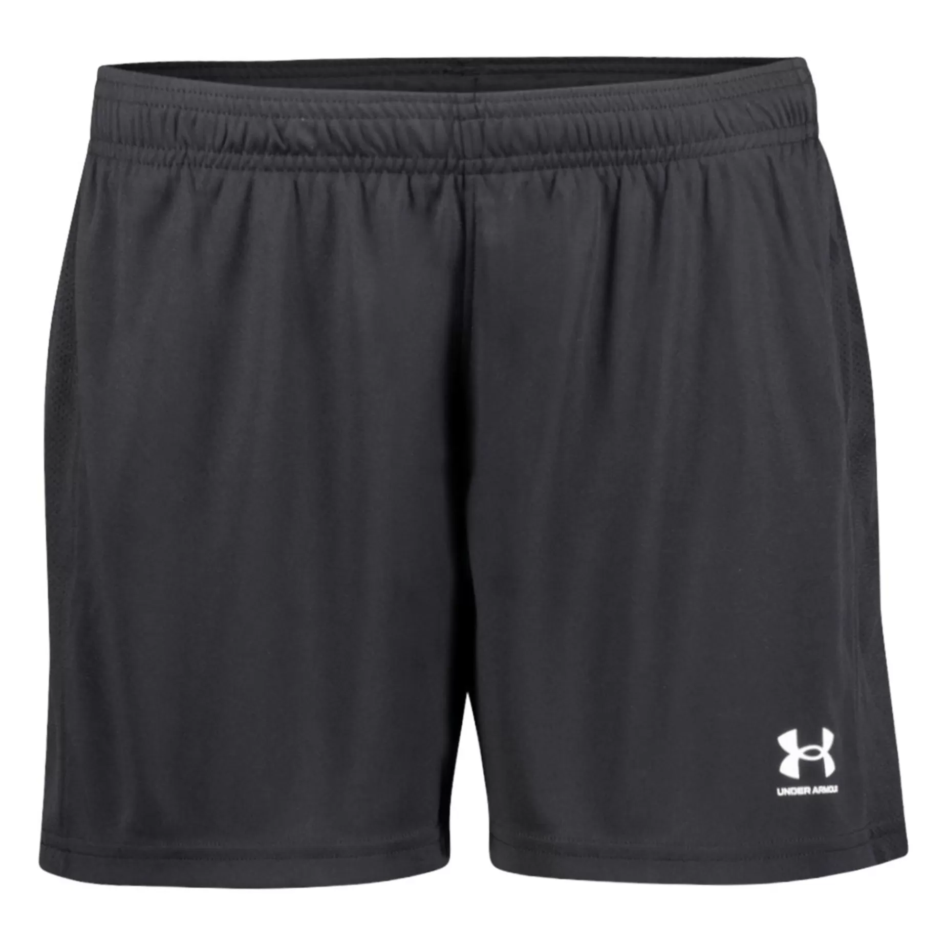 Under Armour Shorts<Challenger Knit Shorts, Traningsshorts, Dam