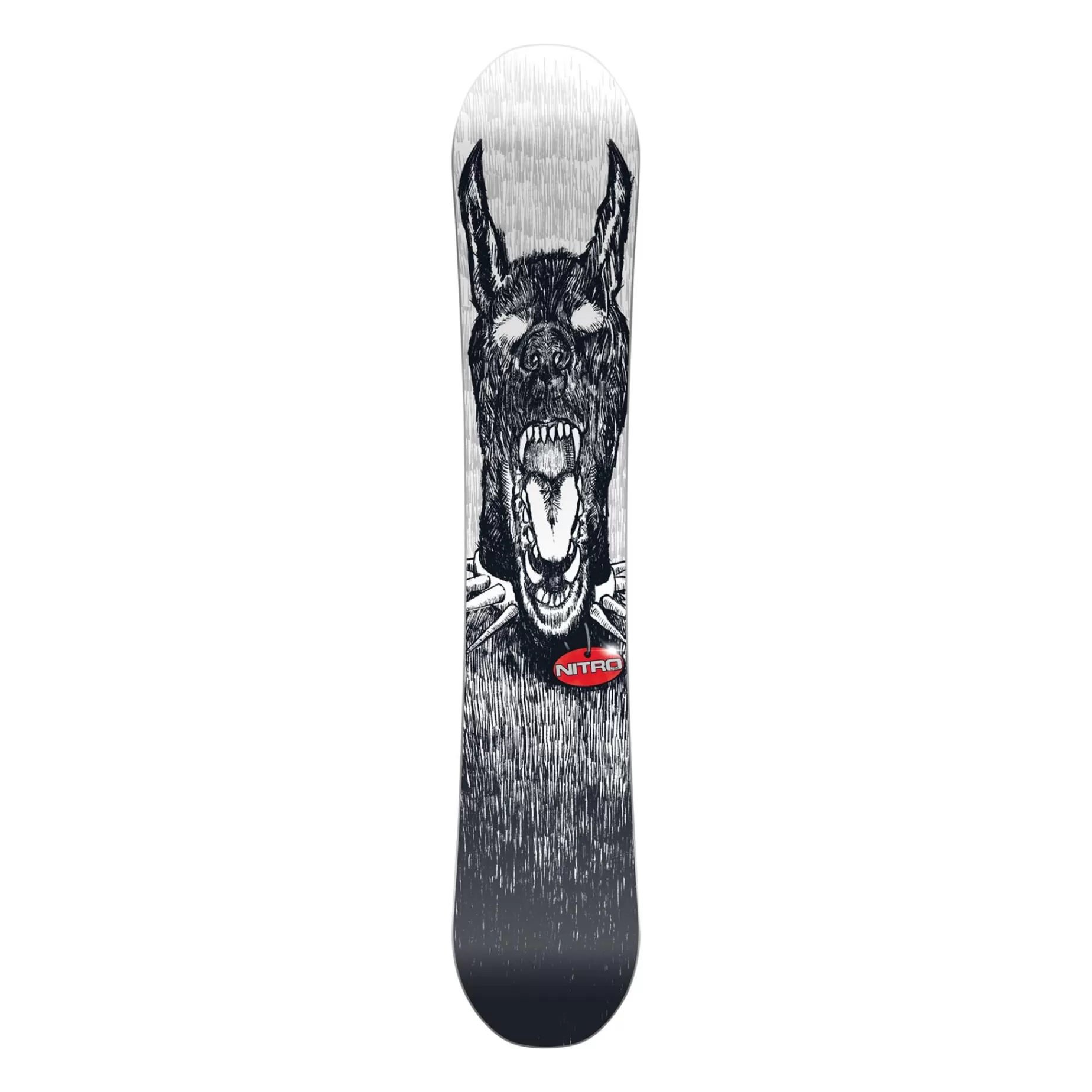 NITRO Snowboards<Snowboard T1 22/23, Snowboard Herr